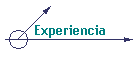 Experiencia