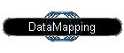 DataMapping