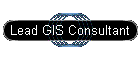 Lead GIS Consultant