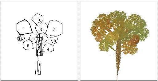Un arbre en automne