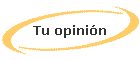 Tu opinin