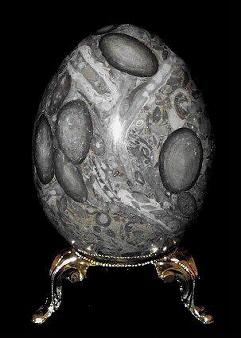 Egg 