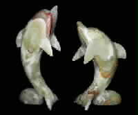 Dolphins