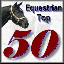 Click here vote for this site.
