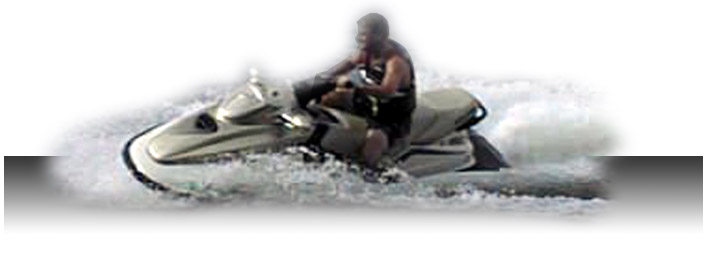 webseadoo.jpg (28416 bytes)