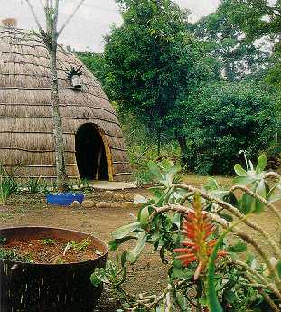 Zulu hut