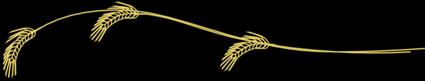 Straw-banner.gif (6431 bytes)