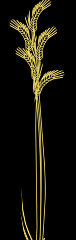 grure55.gif (15897 bytes)