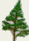 Green Forest logo