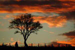 Archer's farm at sunset