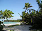 The Beach