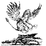 Dragon and Griffon Pic