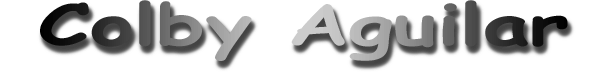 CA logo
