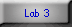 lab 3 button