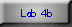 lab 4b button