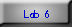 lab 6 button