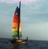 Hobie.gif (33082 bytes)