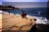 Lajolla2.gif (72920 bytes)