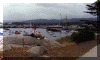 Monterey.gif (73573 bytes)