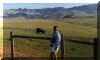 Paso_small.gif (5776 bytes)