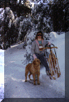 Snobear.gif (81018 bytes)