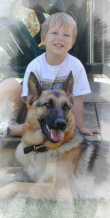 A Boy Who Loves Dogs