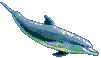 dolfs1.gif (895 bytes)