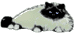 himalayan.gif (9717 bytes)
