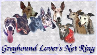 Greyhound Lover's NetRing Graphic. Copyright 2000 by The Greyhound Lover's NetRing