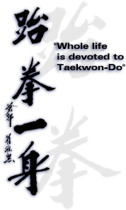 Tae Kwon Do In Korean