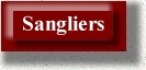 Sangliers