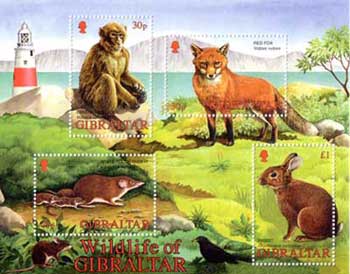 Wildlifem/s