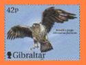 Gibwp20