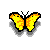 Butterflies are Free