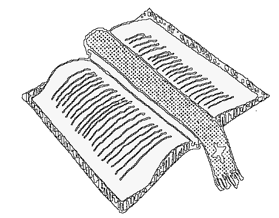 Bible