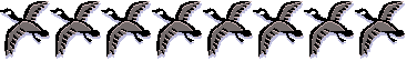 Listen to the geese