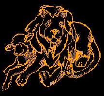 Peaceable Kingdom - Lion and Lamb