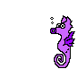 Seahorse