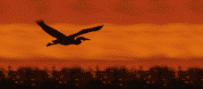 Go see Children's Bird Art Gallery