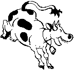 a happy cow