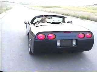 corvette