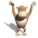 monkey