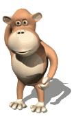 monkey