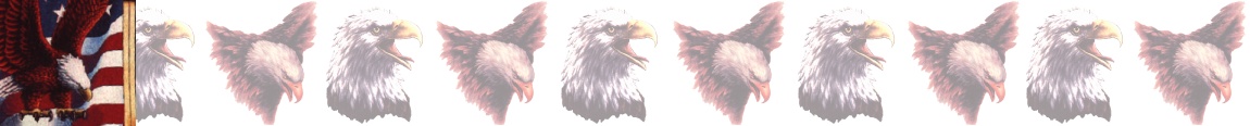 0911bg.jpg