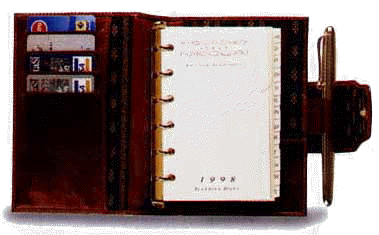 org02Business Organizer Piquadro Nikolai AG 719 plugging 15x11 cm.jpg (17280 bytes)