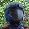 CLASSIC COBRA VIPER by Joey