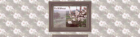 Preview of Tu B'Shvat7