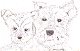 Two dogs