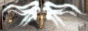 Link uns