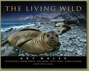The Living Wild cover